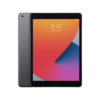 ipad 8th gen grey