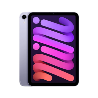 ipad mini 6 purple